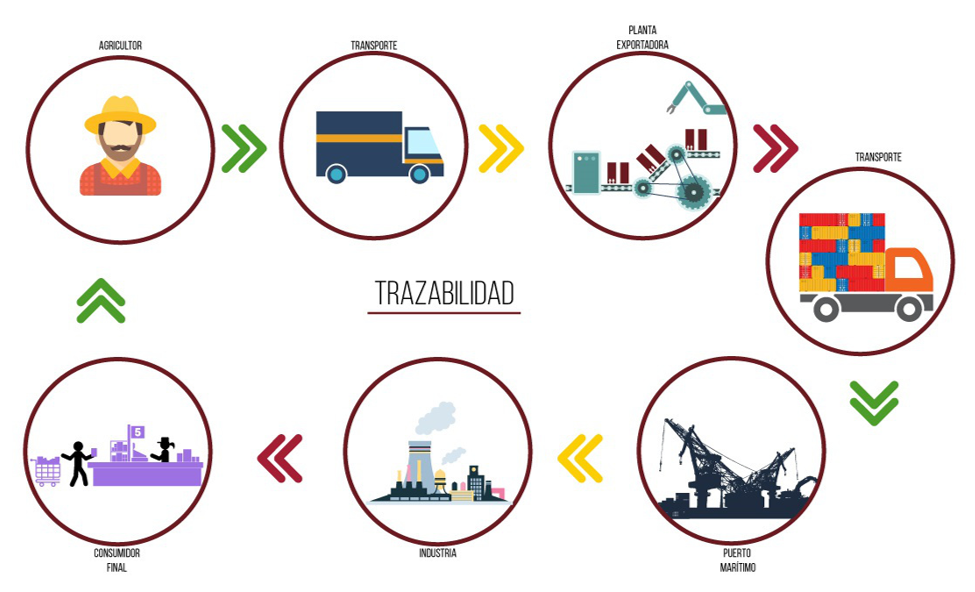 ¿Qué es la trazabilidad en la logística? - Logística y Transporte | BLOG